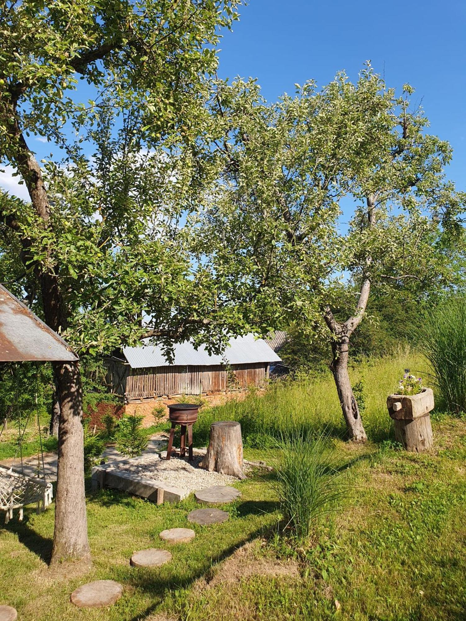 Cabana Valea Lui Mas Robaia Εξωτερικό φωτογραφία