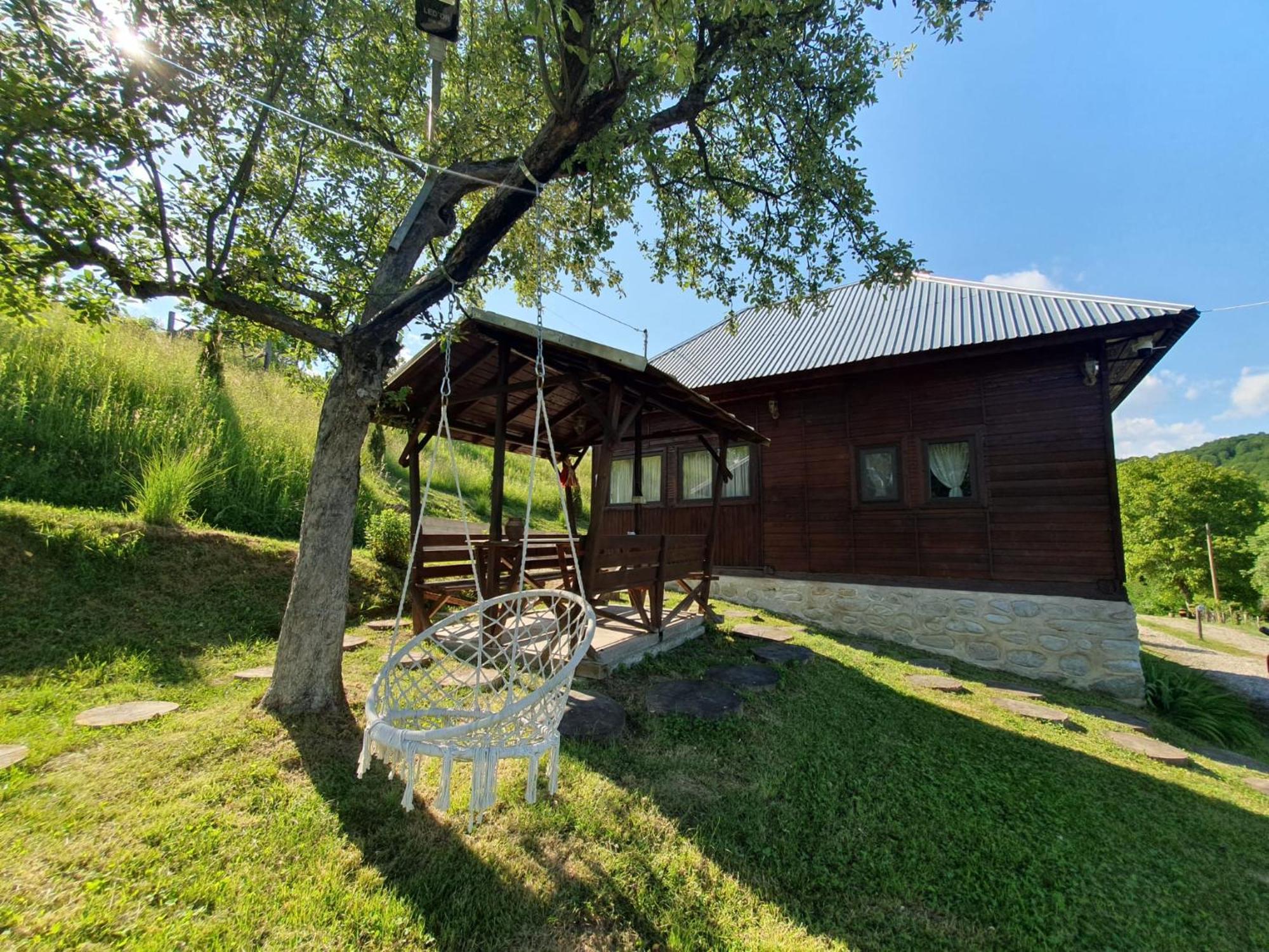 Cabana Valea Lui Mas Robaia Εξωτερικό φωτογραφία