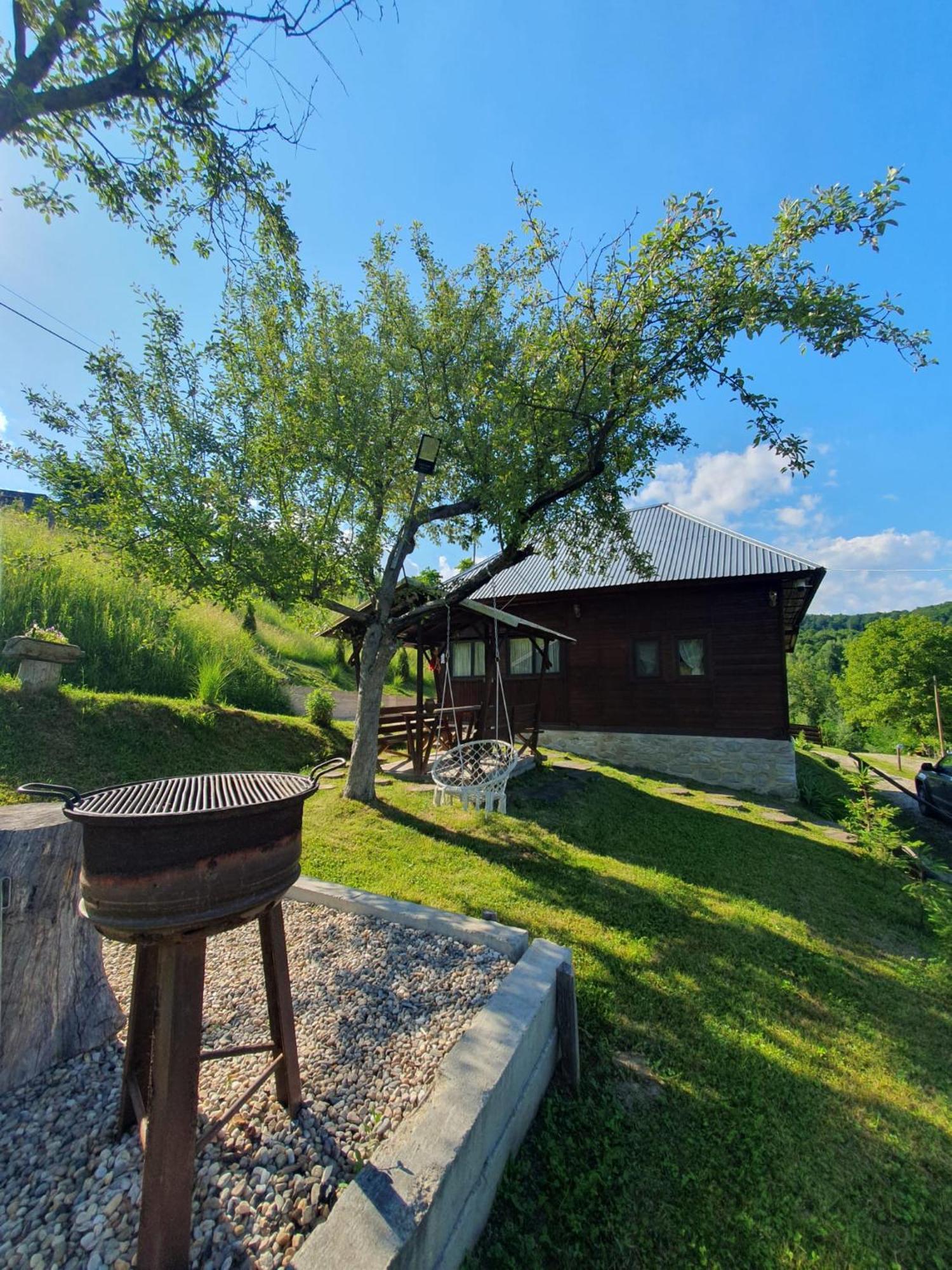 Cabana Valea Lui Mas Robaia Εξωτερικό φωτογραφία